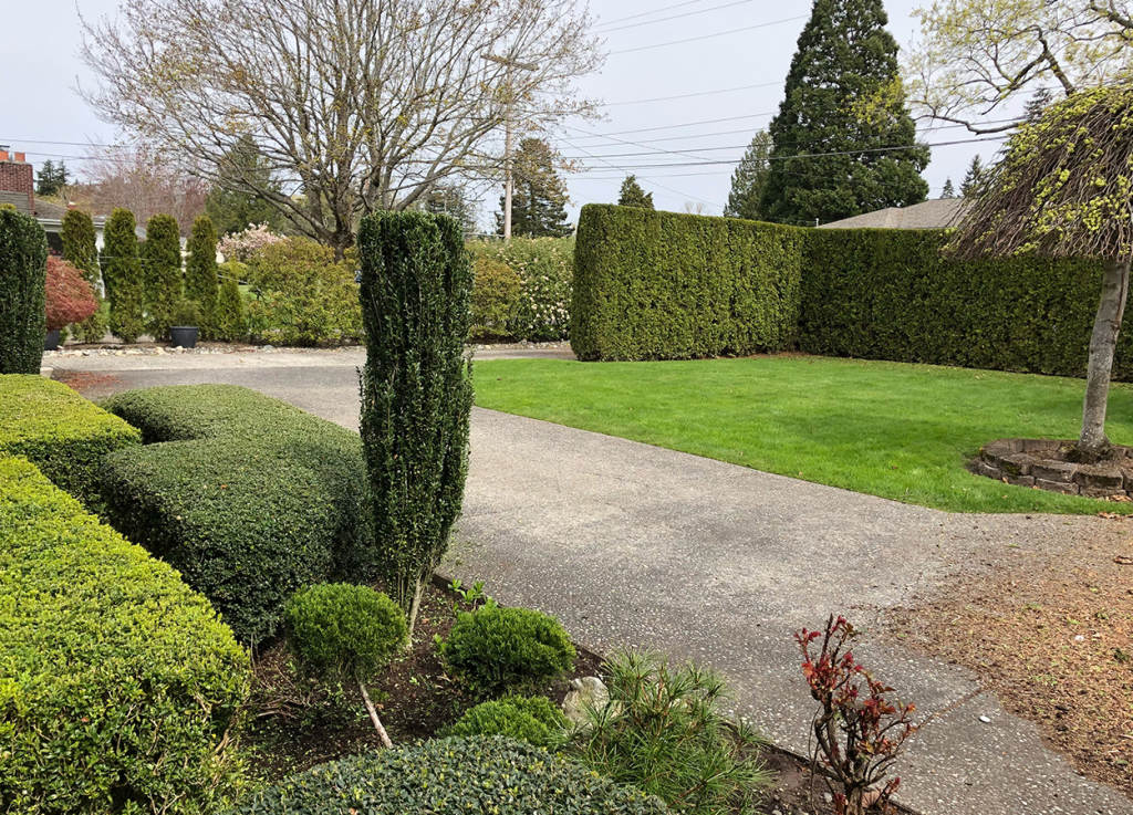 everson landscaping services