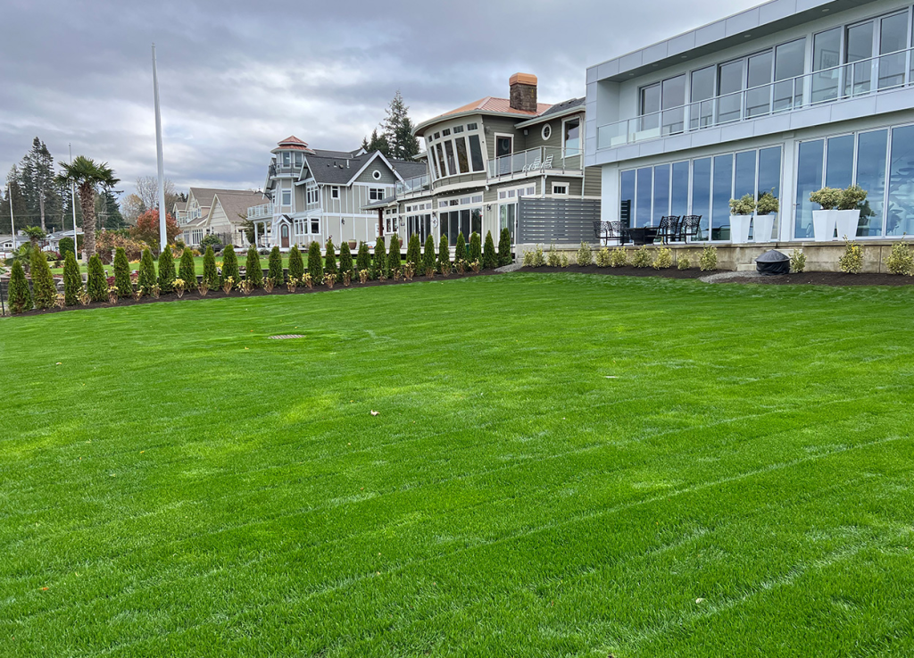 blaine landscape services