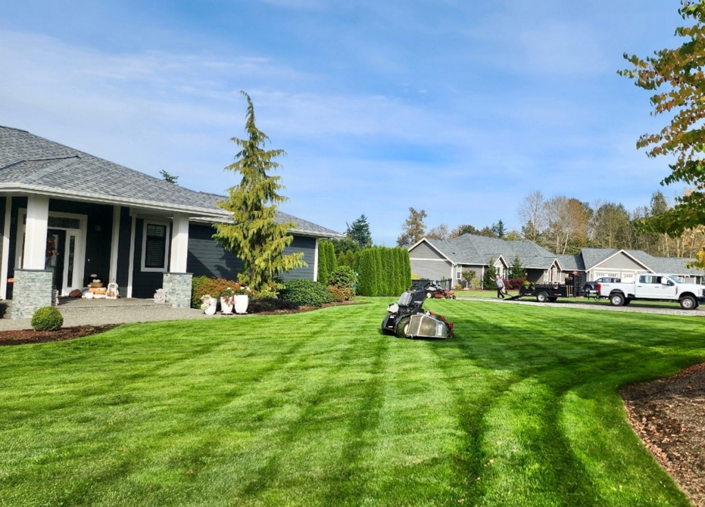 lawn care ferndale