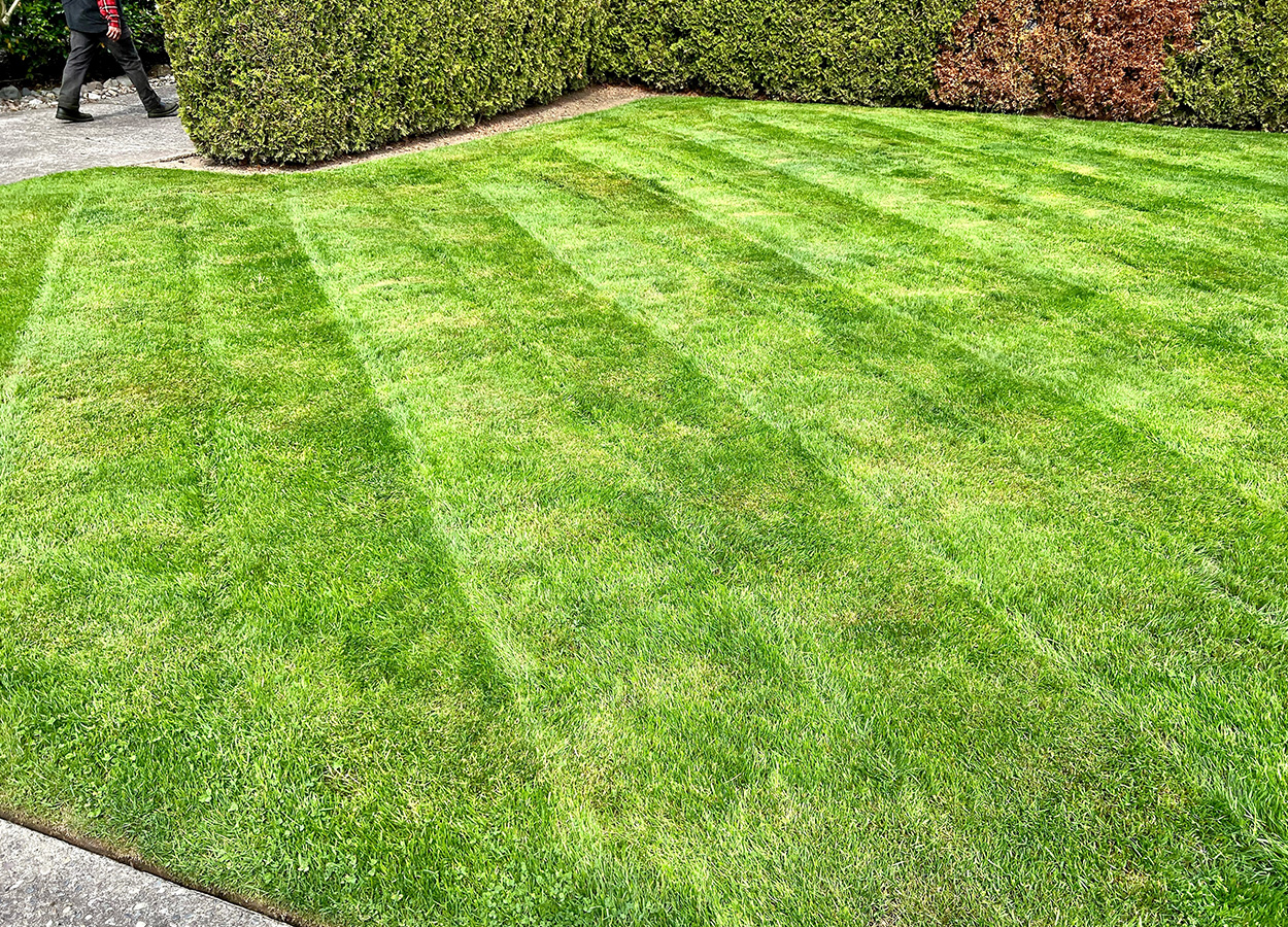 lawn care services